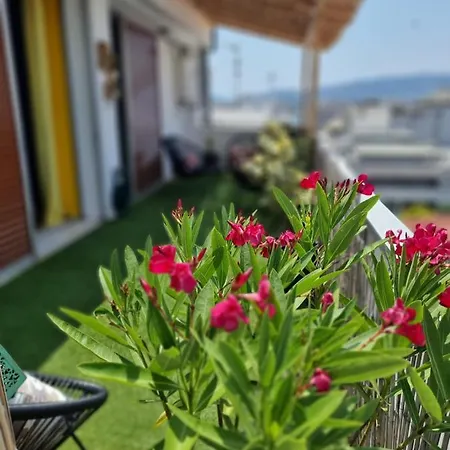 Charming House 1 Apartament *